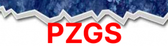 pzgs